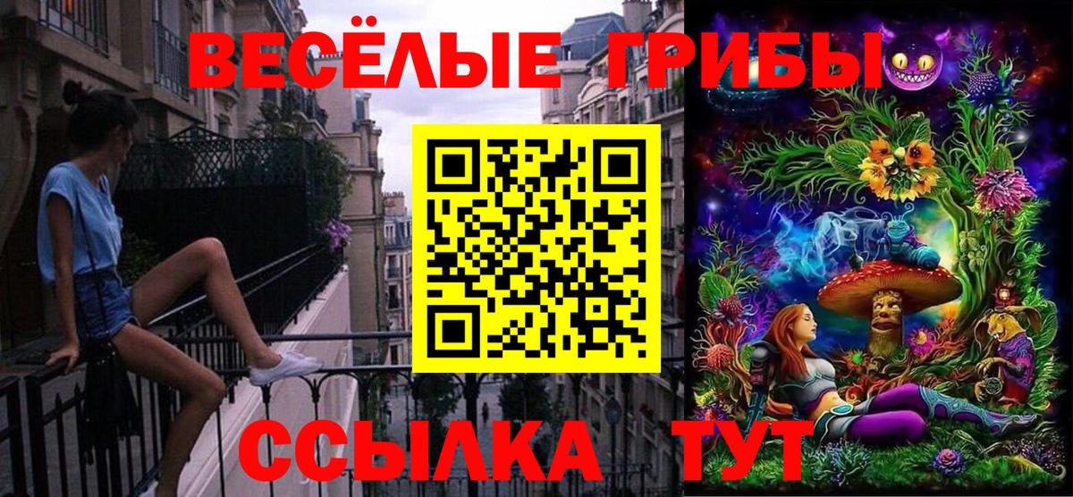 Псилоцибиновые грибы мицелий  Вход с VPN  Псков 