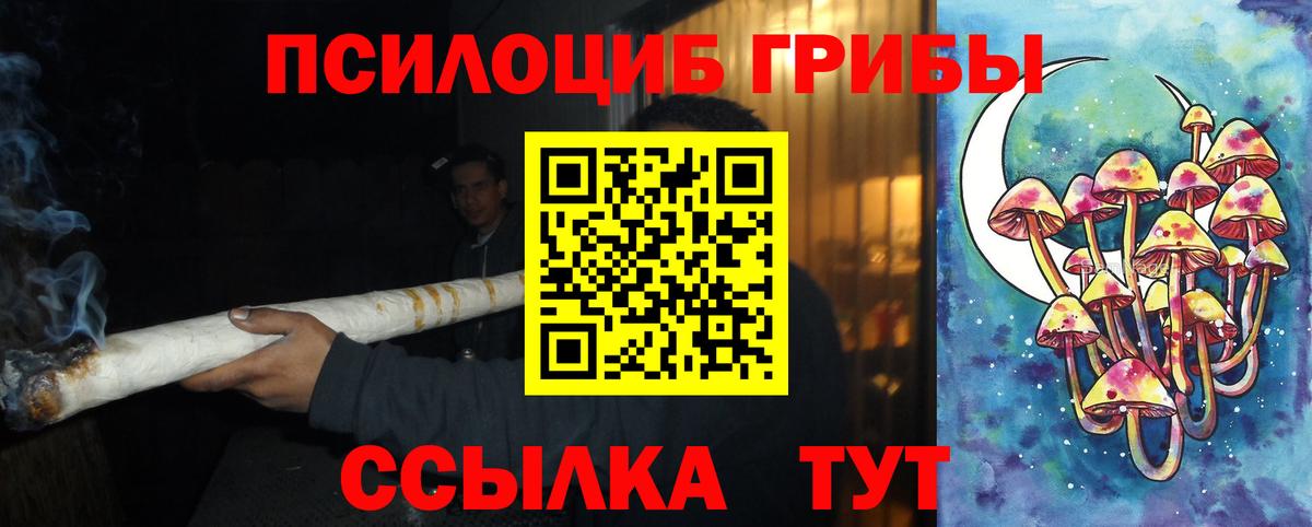 Галлюциногенные грибы мицелий Псков